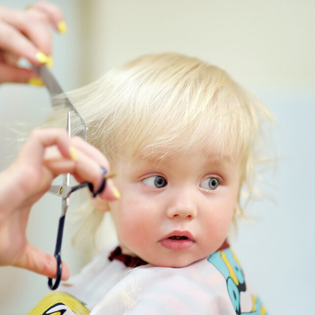 Close up portrait of toddler child getting his first haircut