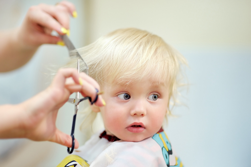 Close up portrait of toddler child getting his first haircut